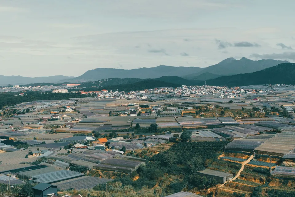 Tại Đặng Thị Nga